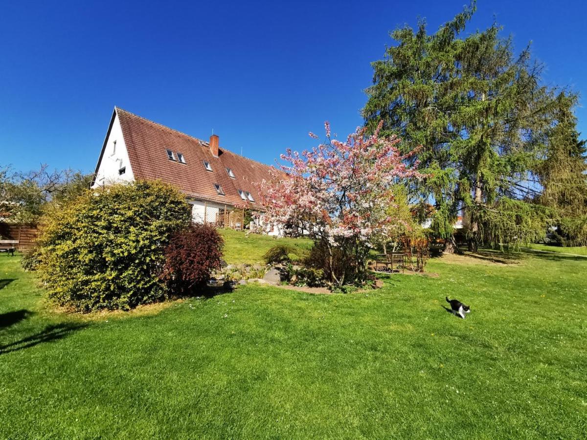 Am Kirschberg Pensión 3*